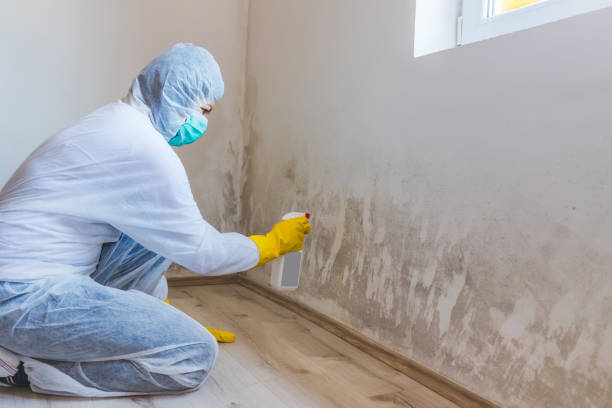 Mold Remediation specialist working in Barrington